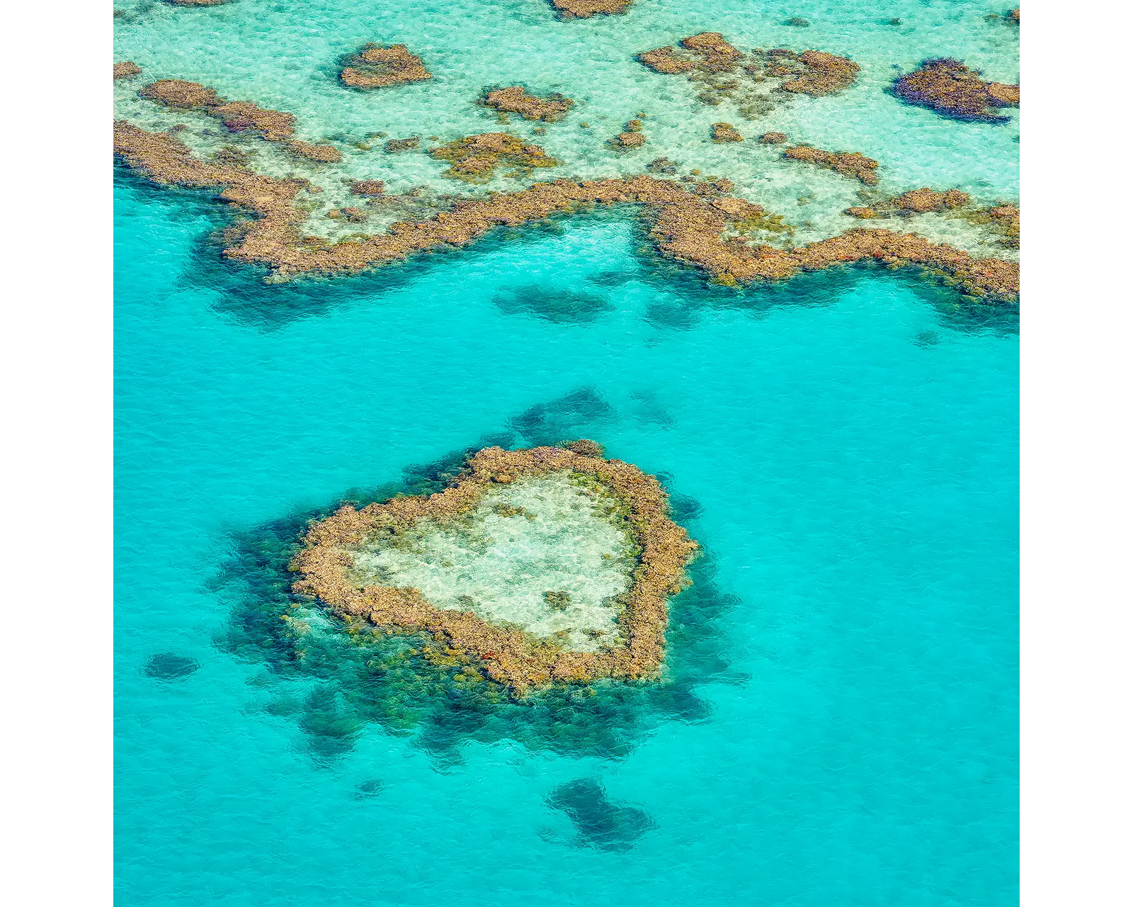 The Heart. Acrylic block of a heart shape in the Great Barrier Reef, Queensland artwork.