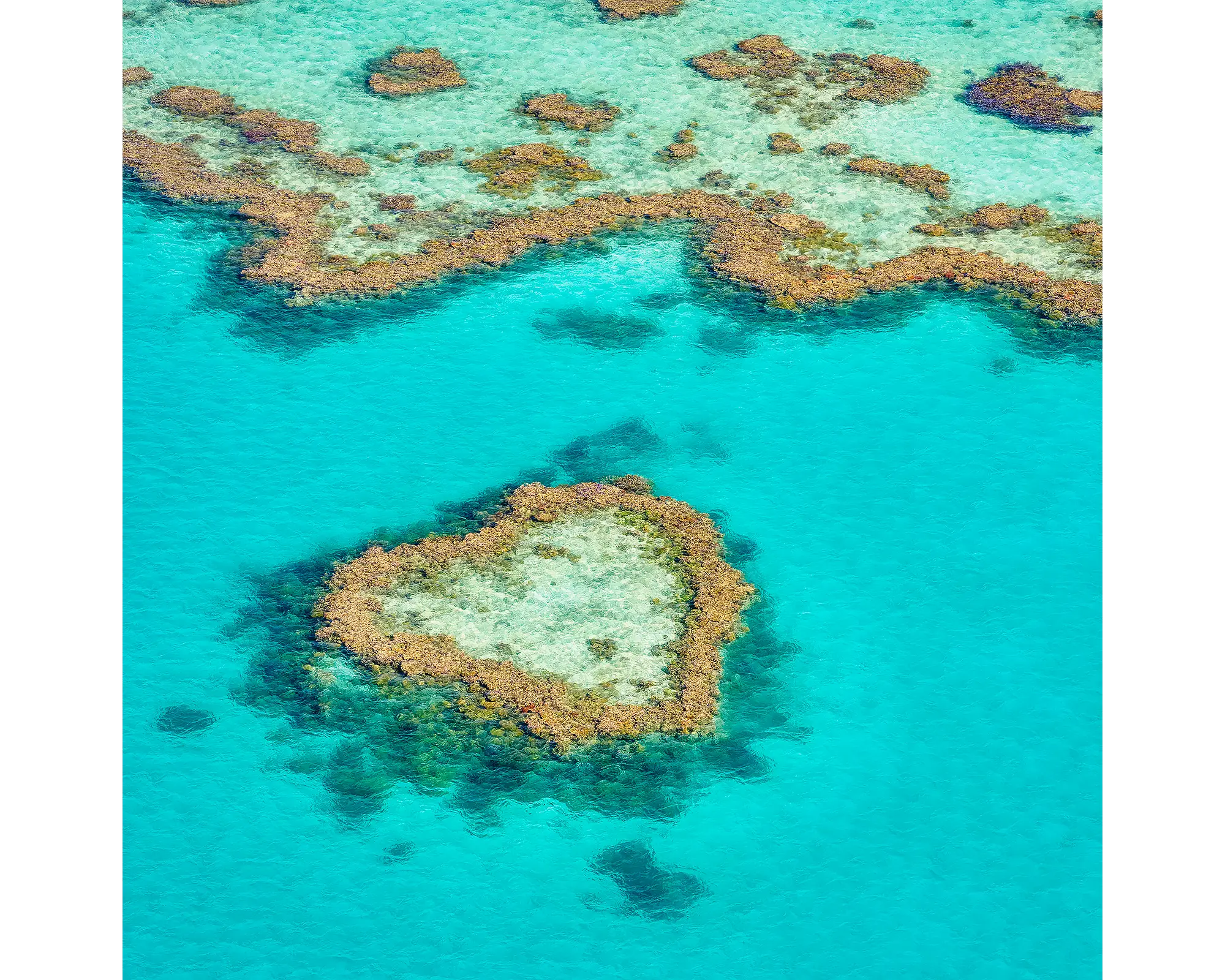 The Heart. Aerial view of Heart Reef, Great Barrier Reef, Queensland, Australia
