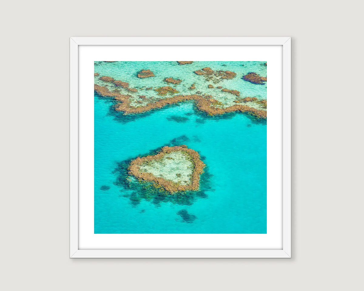 Framed artwork of a heart-shaped coral reef in clear blue water.
