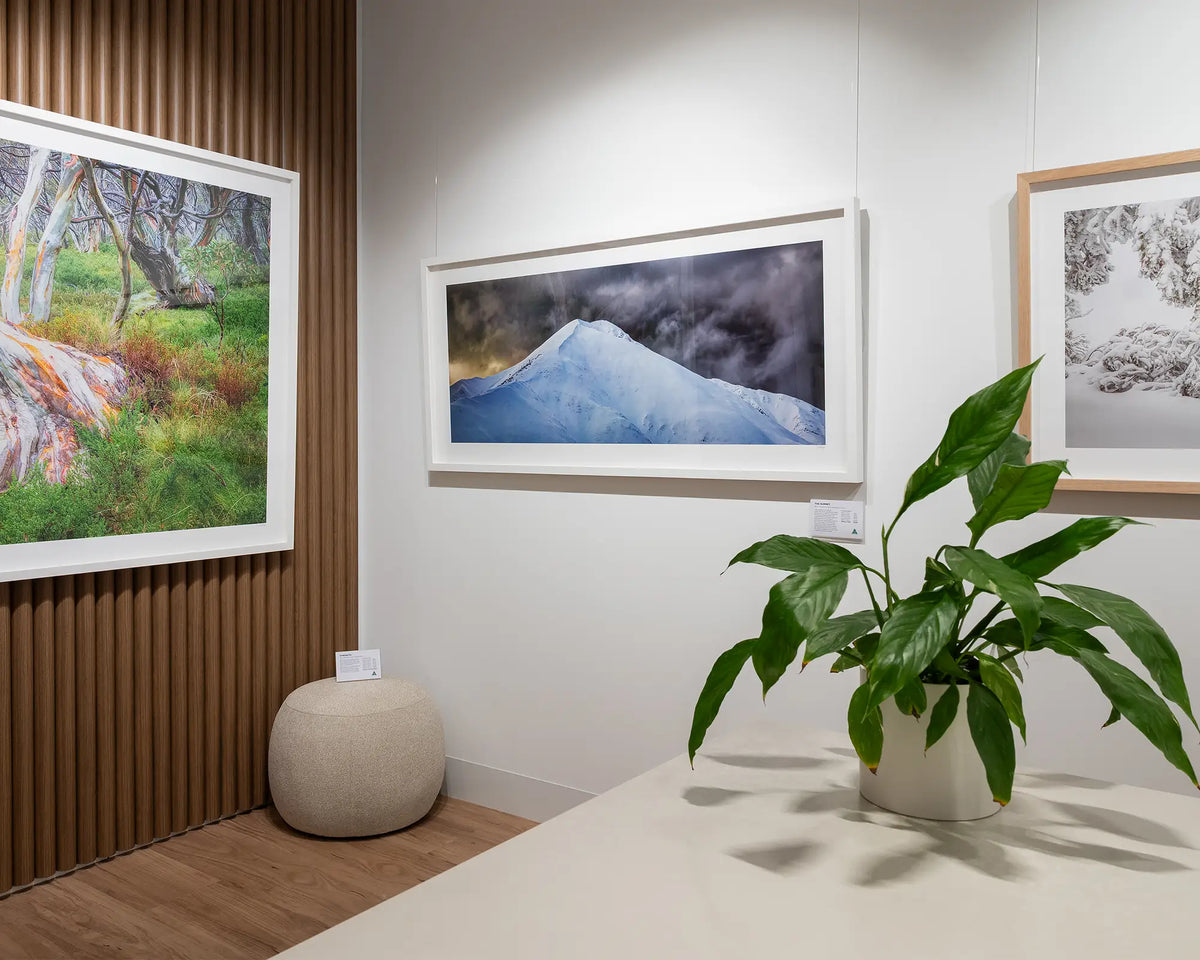 The Summit. Wall art print with white frame of Mount Feathertop, hung in gallery with a plant in the foreground.