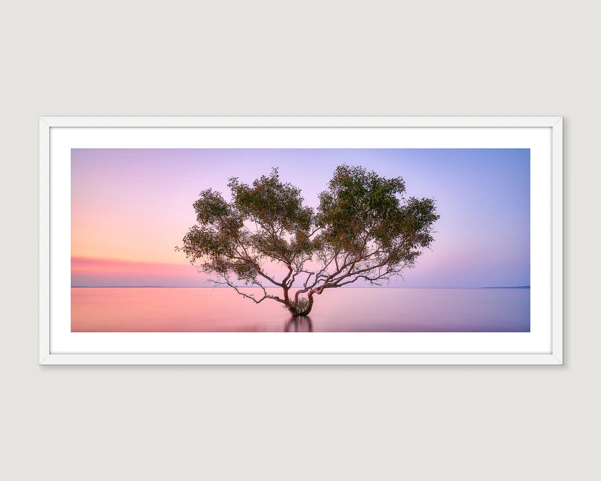 Framed artwork of a tree silhouette against a colourful sunset sky on K'gari (Fraser) Island.