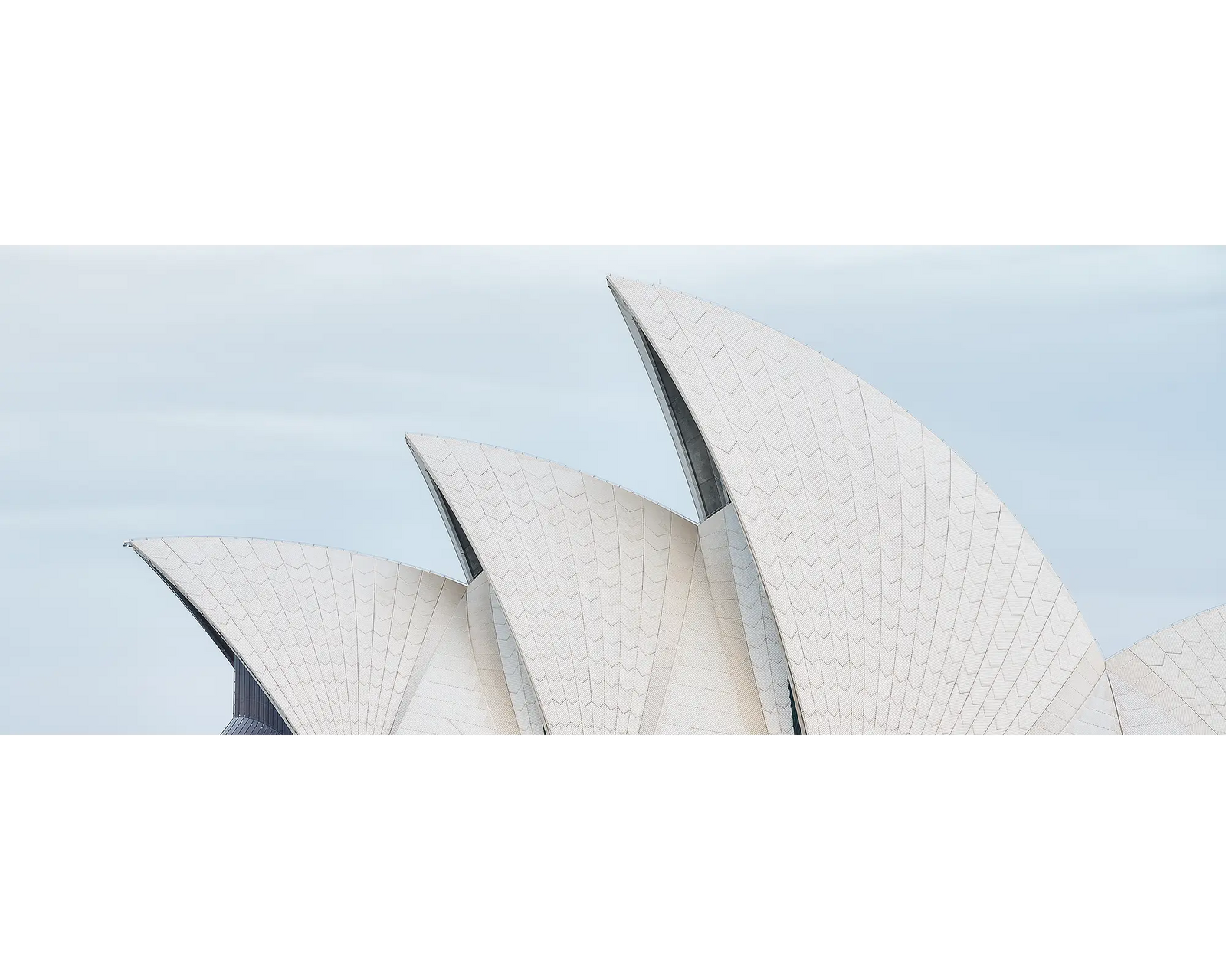 Tile Geometry. Sydney Opera House shells.