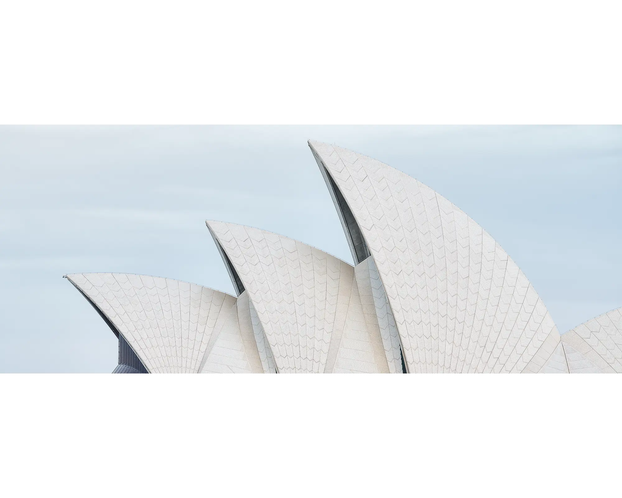 Tile Geometry. Sydney Opera House shells.