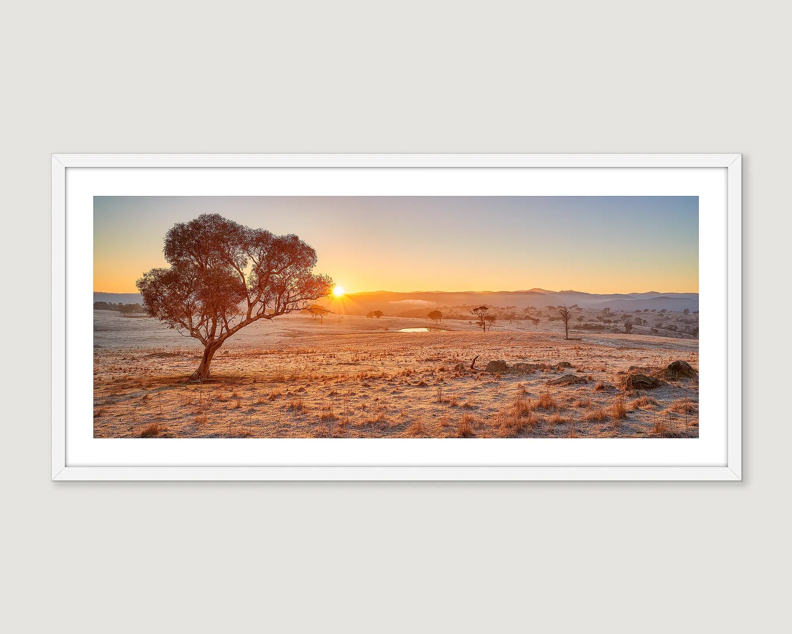 Framed photograph of a gum tree and hills in the background with a sunrise.