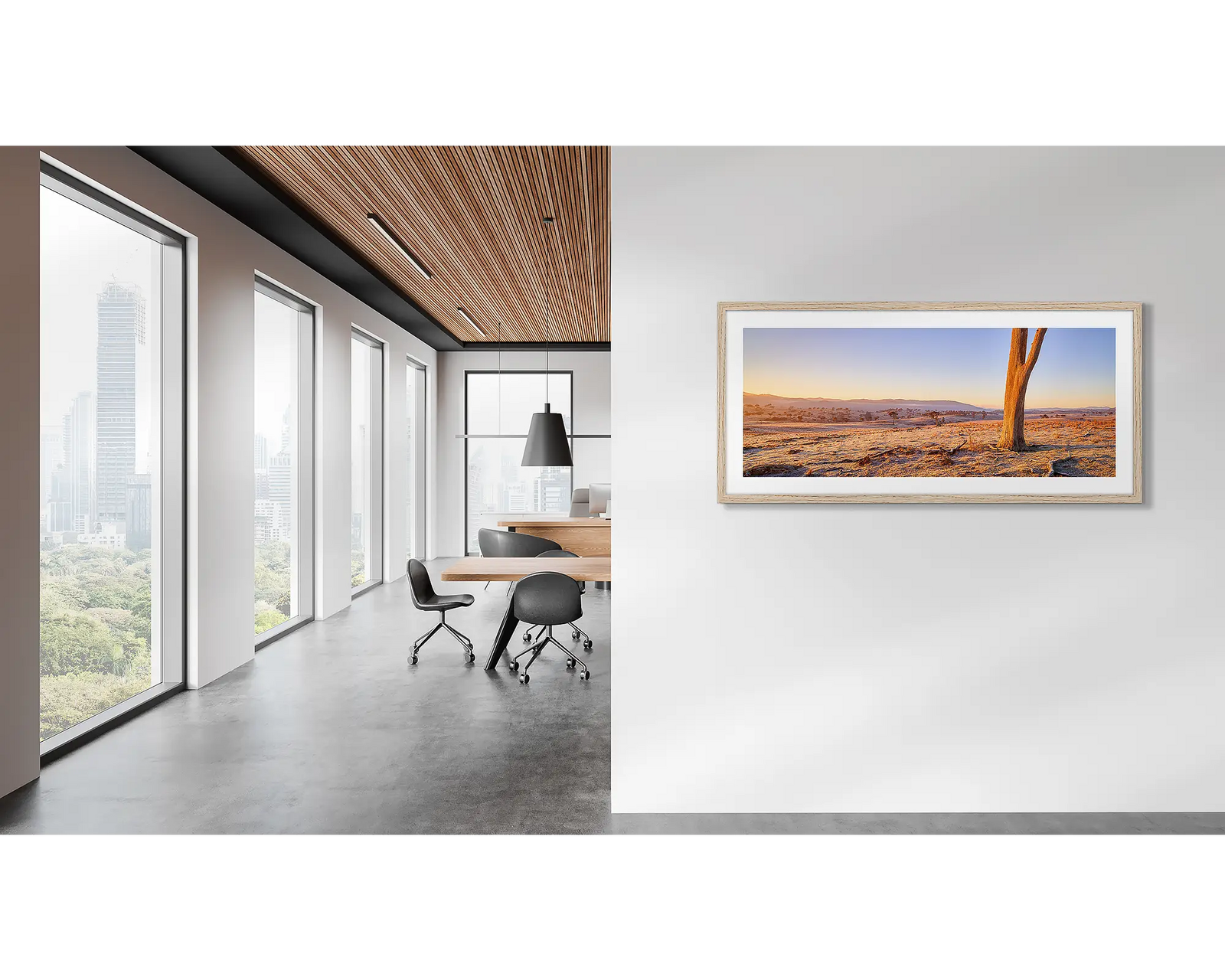 Dead tree on a farm at sunrise at Googong, New South Wales.