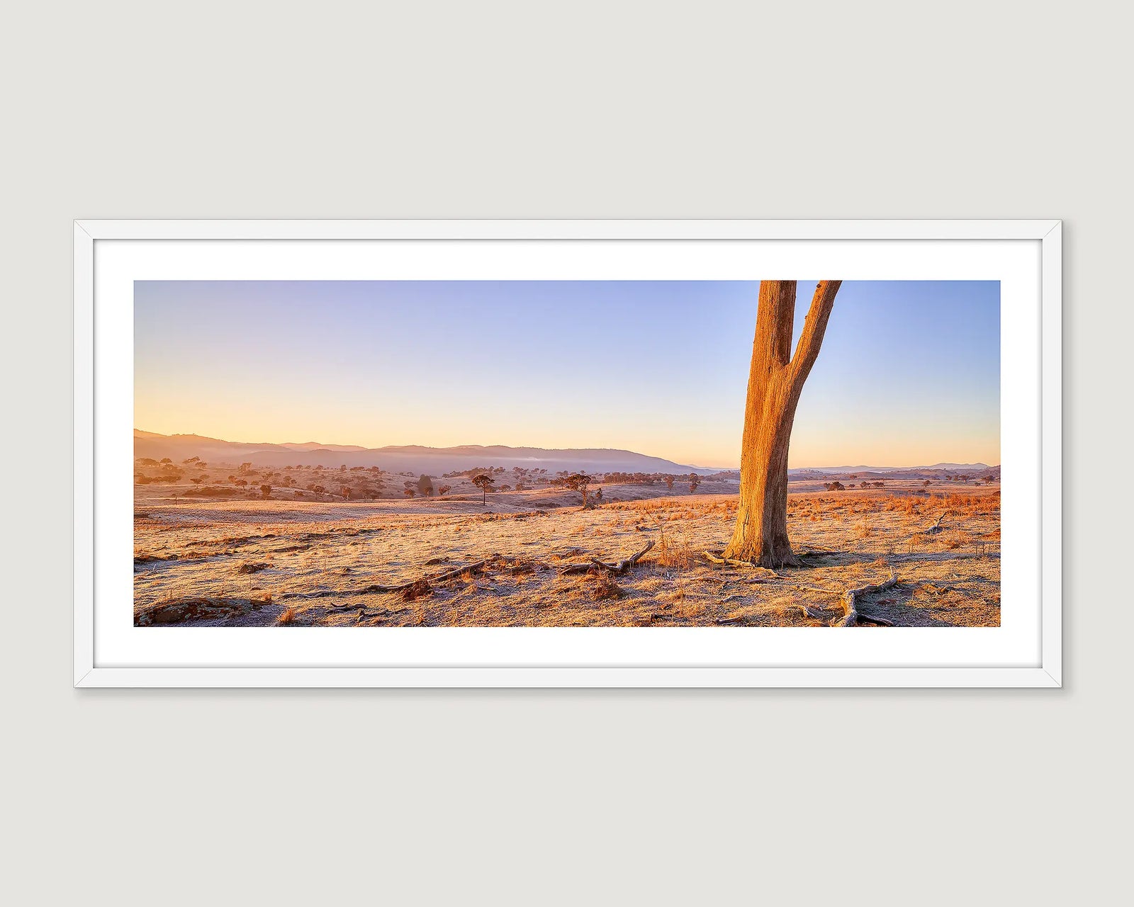 Framed photograph of a tree in a sparse landscape with a sunrise sky.