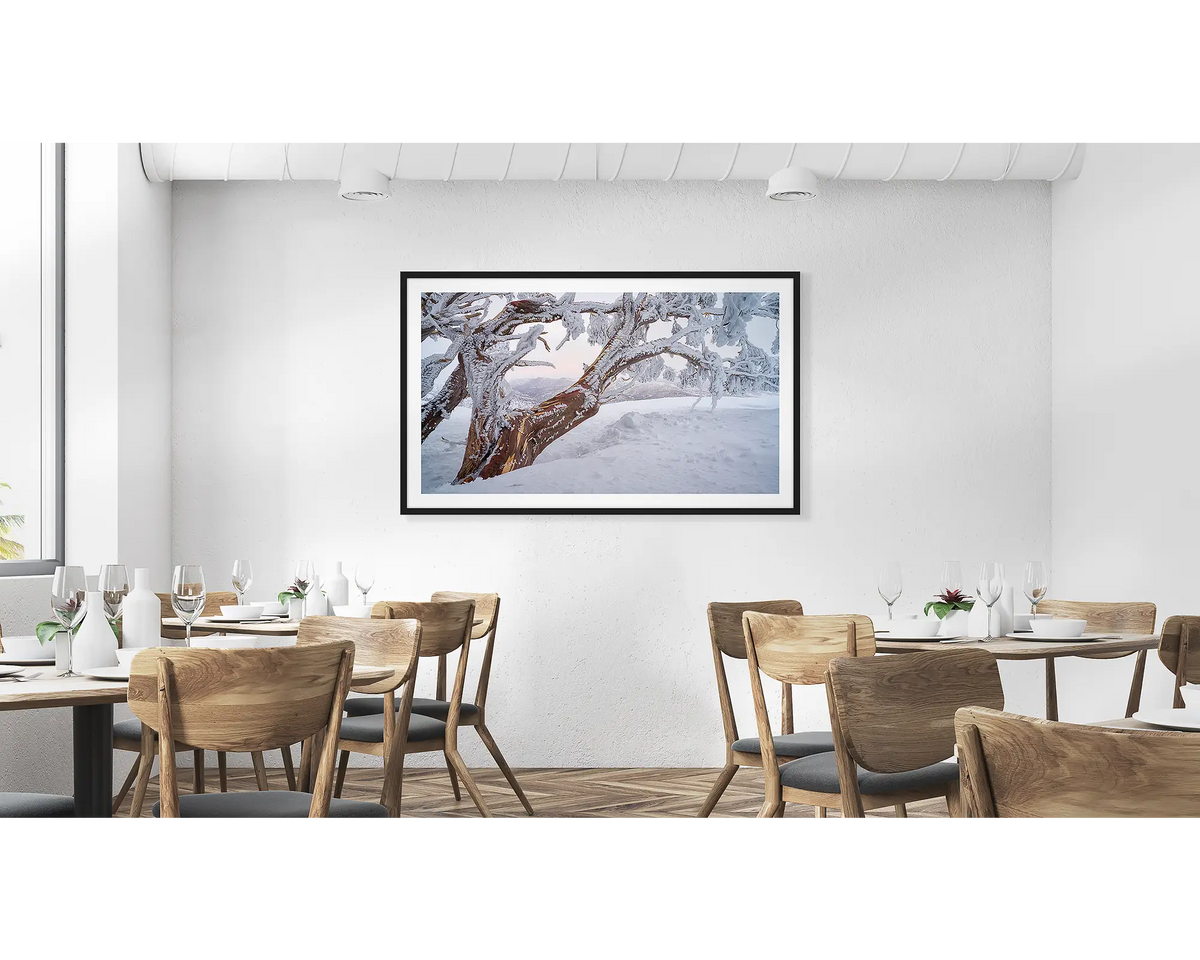Tree Line. Snow gum in snow with ice at sunset wall art print, framed in a black frame, hung on a cafe wall. 