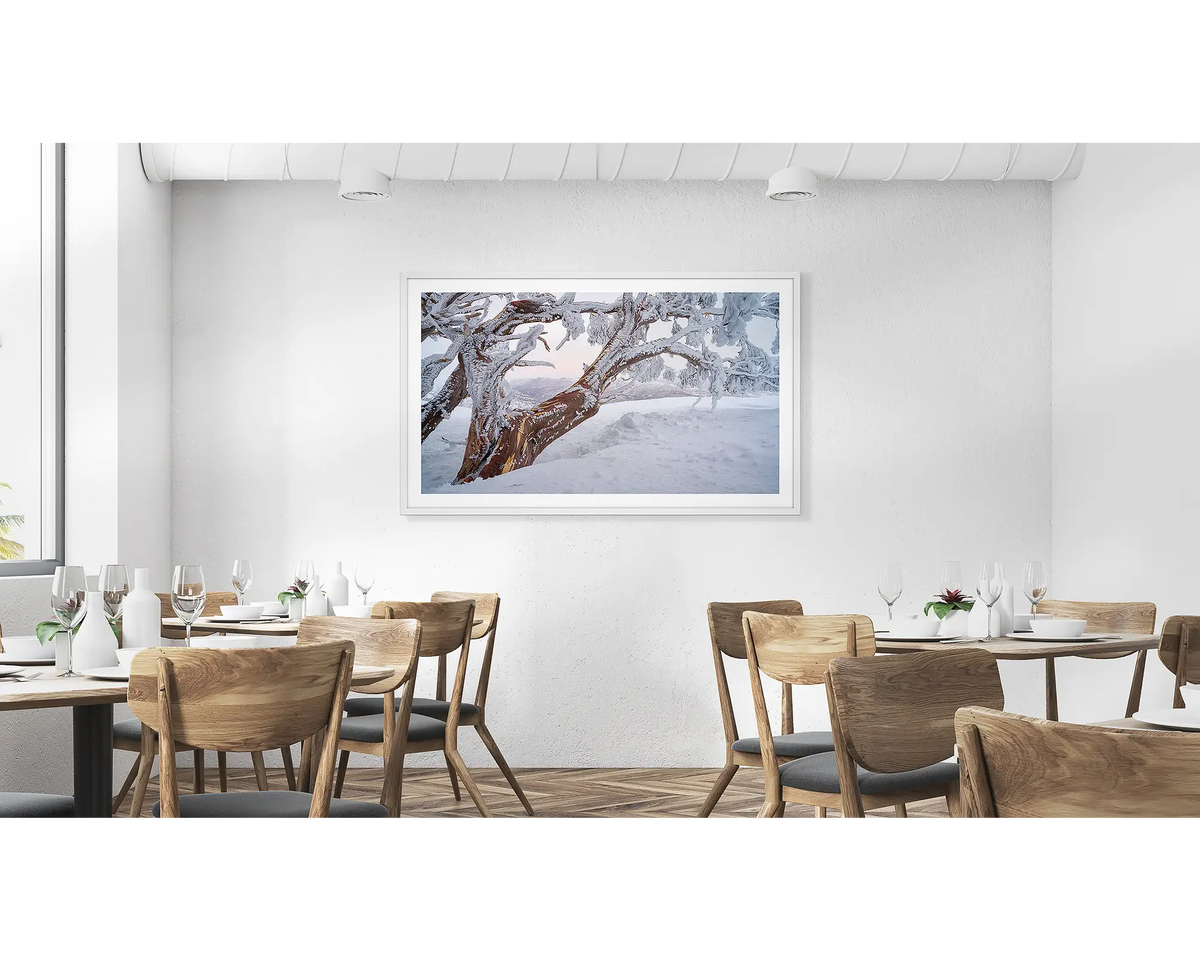 Tree Line. Snow gum in snow with ice at sunset wall art print, framed in a white frame, hung on a cafe wall. 