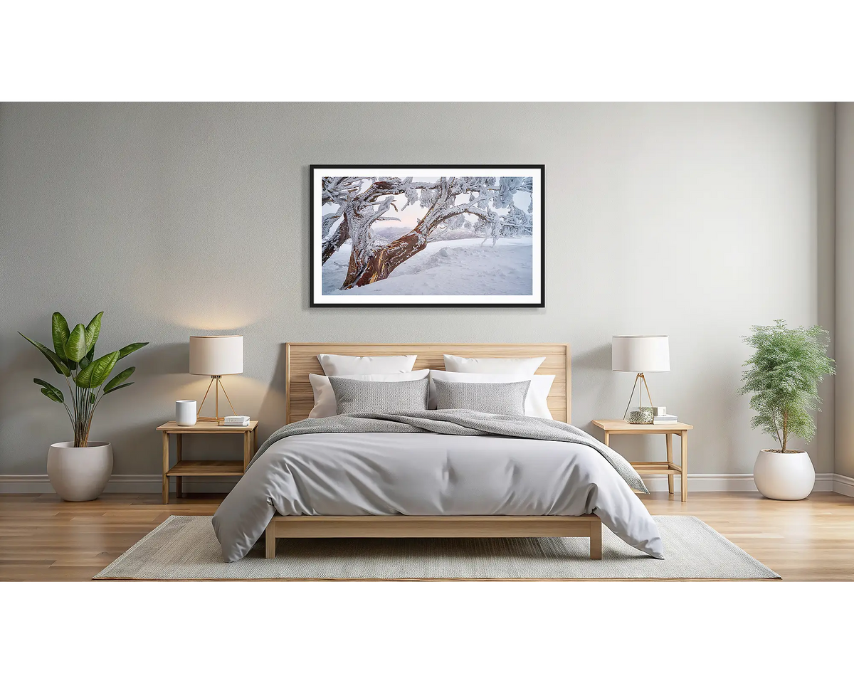 Tree LIne. Wall art print of a snow gum in snow with ice, at sunset, framed in a black frame, and hung above a bed.