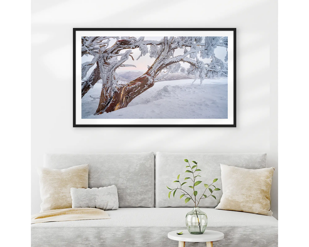 Tree Line. Wall art print of a snow gum in snow with ice at sunset, in a black frame, hung above couch. 