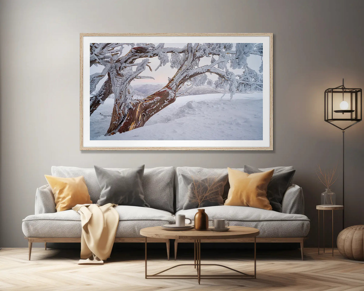 Tree Line. Wall art print of a snow gum in snow with ice at sunset, framed in a timber frame and hung above a lounge room couch. 
