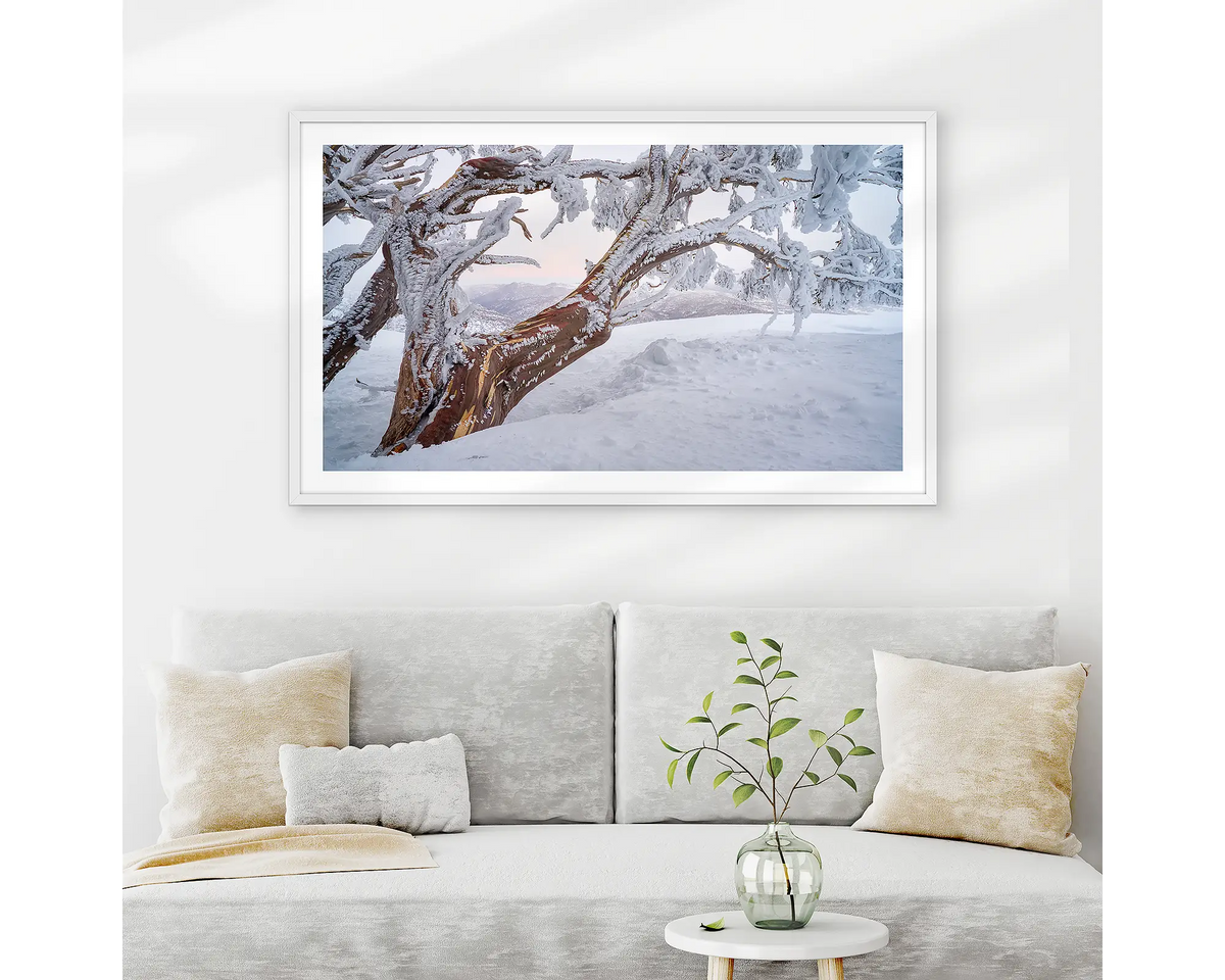 Tree Line. Wall art print of a snow gum in snow with ice at sunset, in a white frame, hung above couch. 