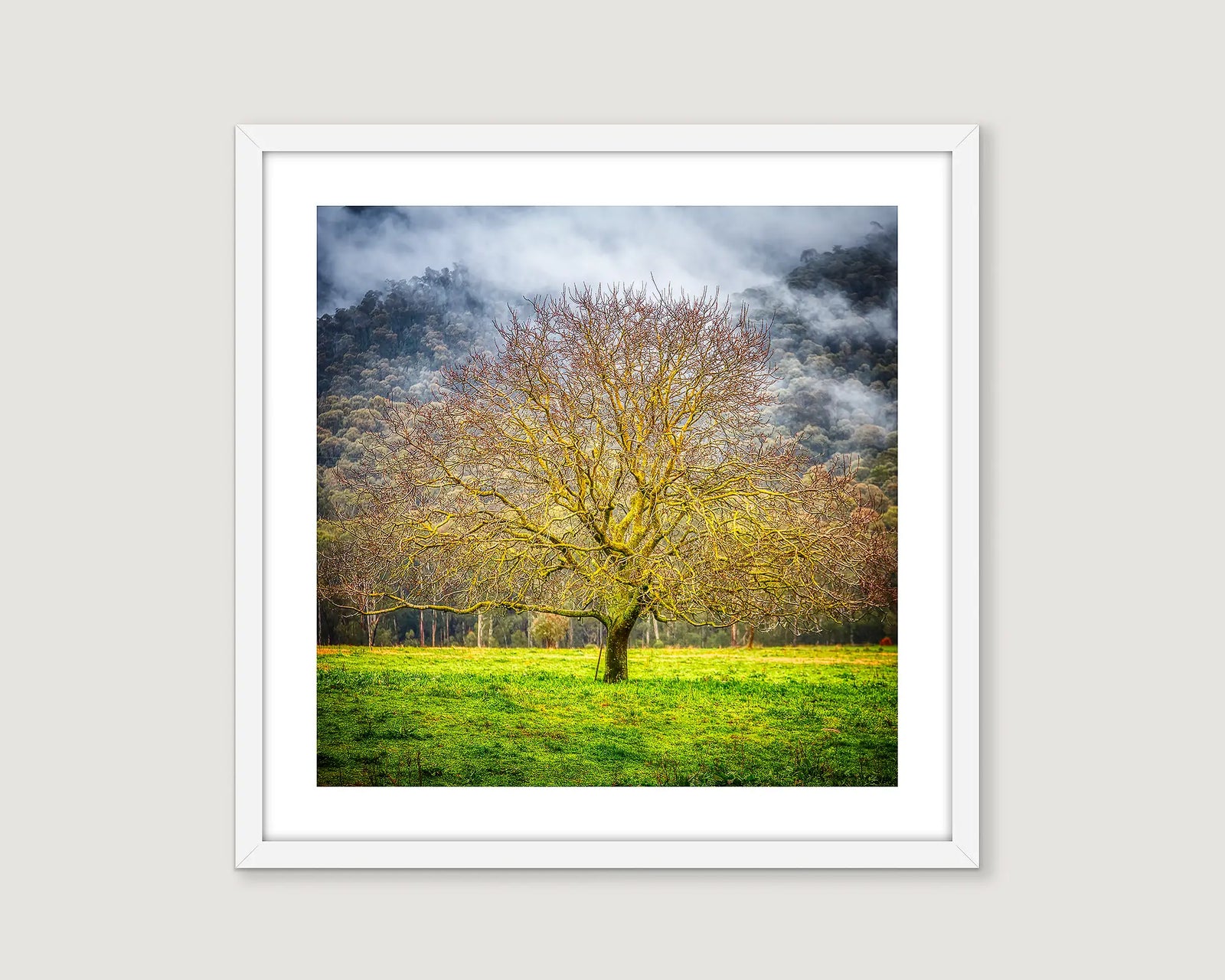 Framed artwork of a tree in a field with a hill in the background and a foggy sky.
