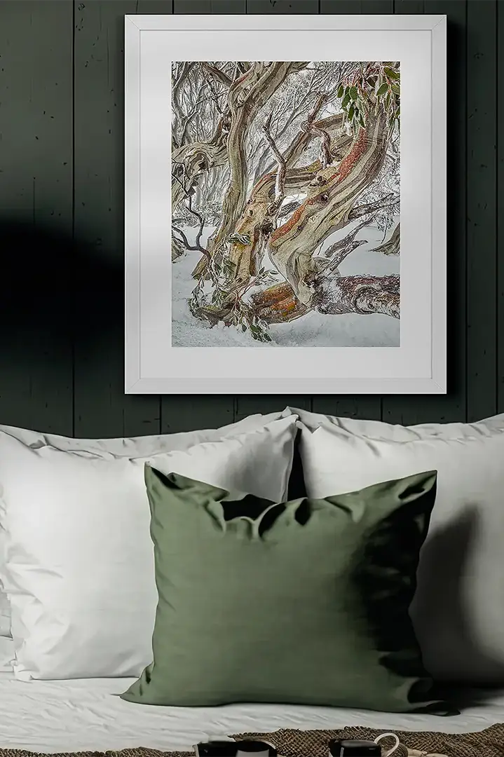 Trees wall art print collection.