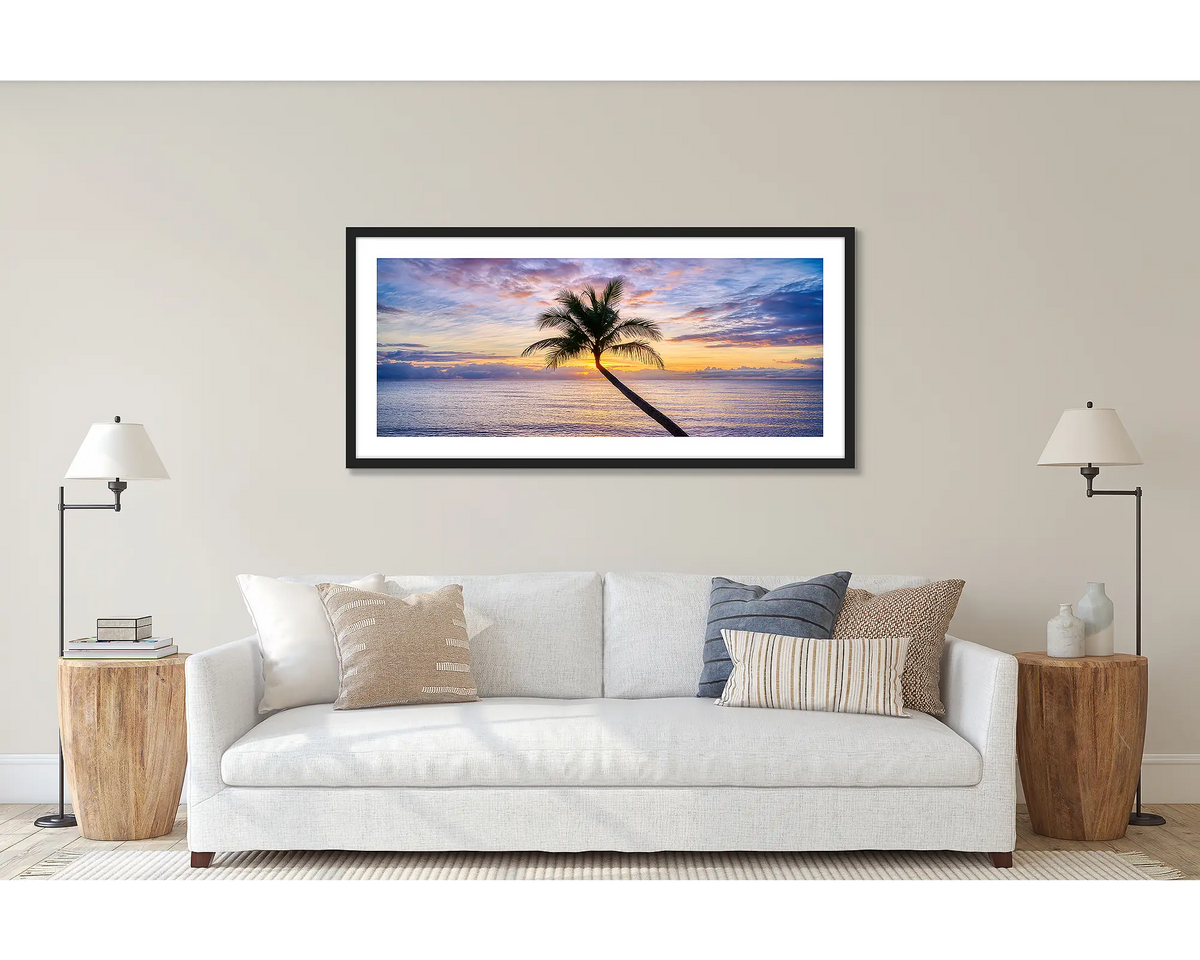 Tropical Icon. Cairns palm tree at sunrise, framed in a black frame, and hung above a couch.