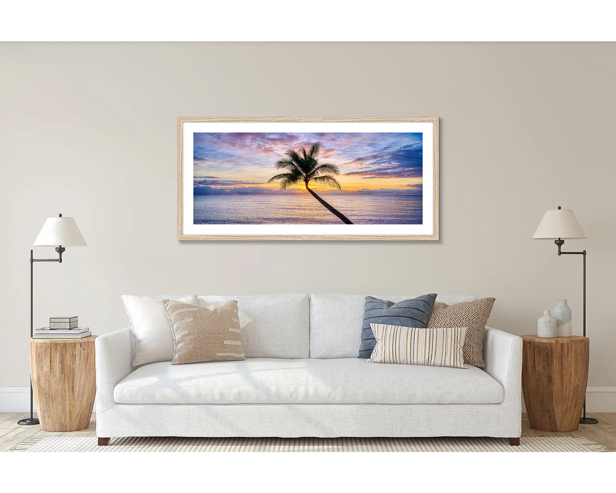 Tropical Icon. Cairns palm tree at sunrise, framed in a timber frame, and hung above a couch.