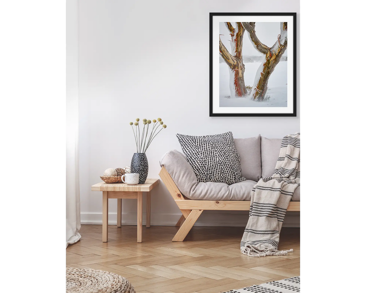 Twinning. Snow gum trunks in snow, wall art print in a black frame hung in a living room above a couch. 