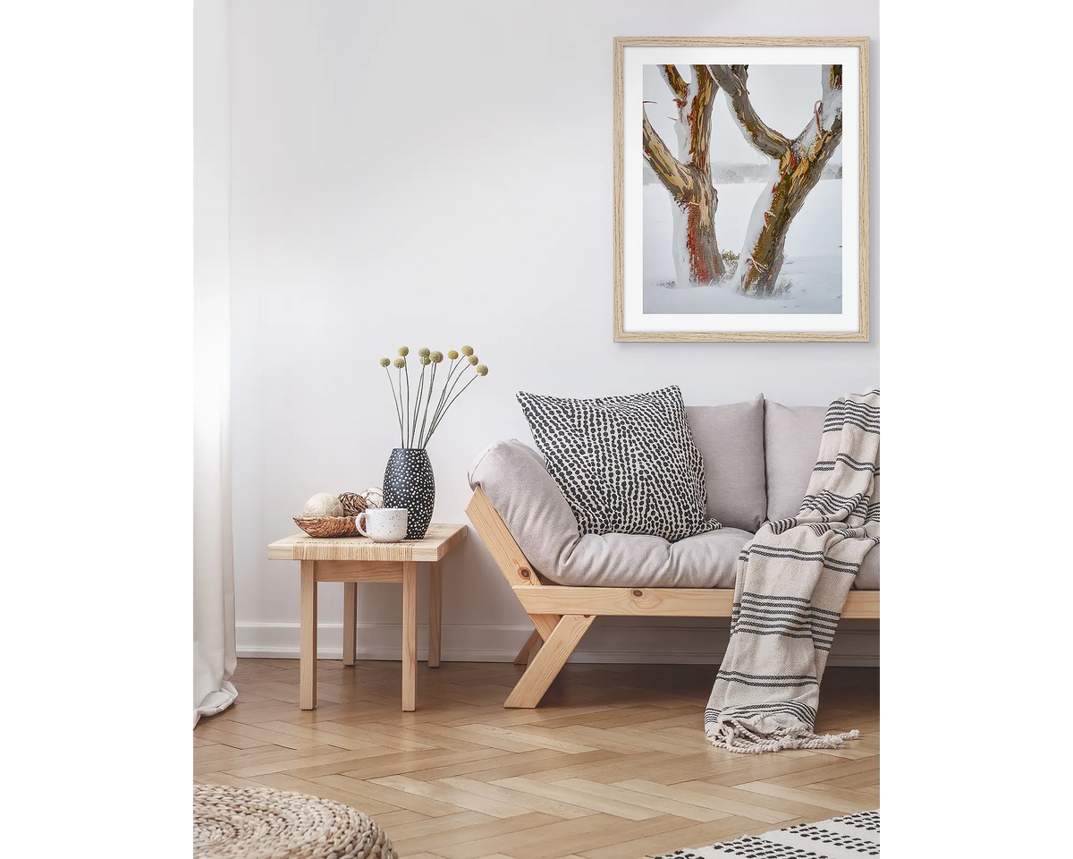 Twinning. Snow gum trunks in snow, wall art print in a timber frame hung in a living room above a couch. 
