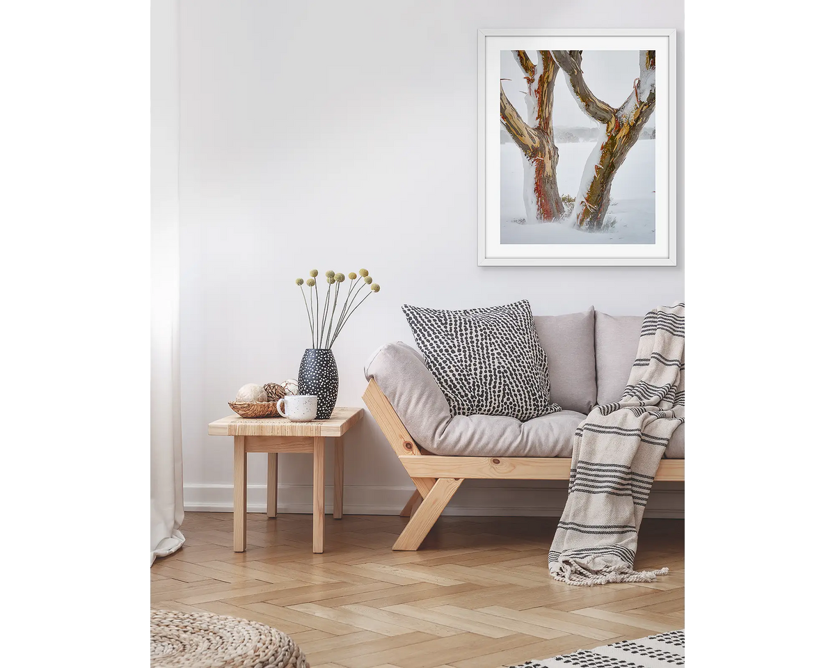 Twinning. Snow gum trunks in snow, wall art print in a white frame hung in a living room above a couch. 
