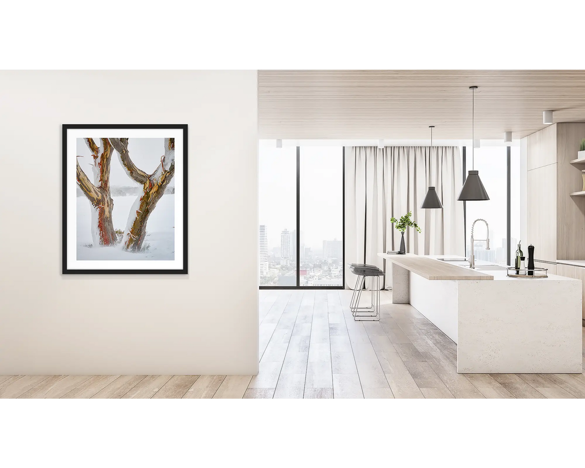 Twinning. Wall art print of snow gum trunks in snow, framed in a black frame and hung outside a kitchen. 