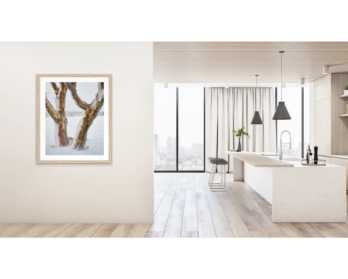 Twinning. Wall art print of snow gum trunks in snow, framed in a timber frame and hung outside a kitchen. 
