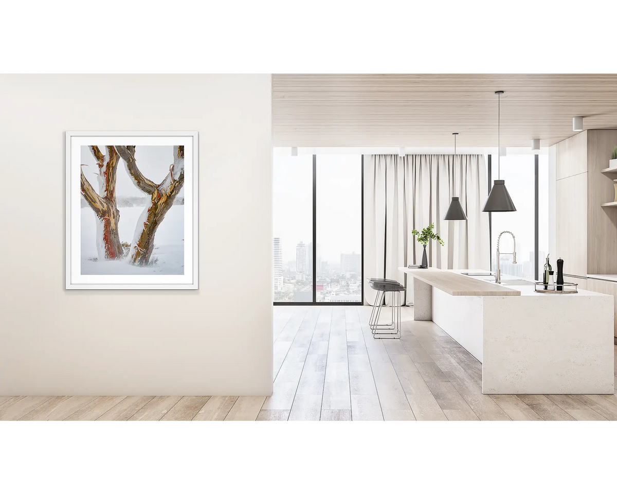 Twinning. Wall art print of snow gum trunks in snow, framed in a white frame and hung outside a kitchen. 