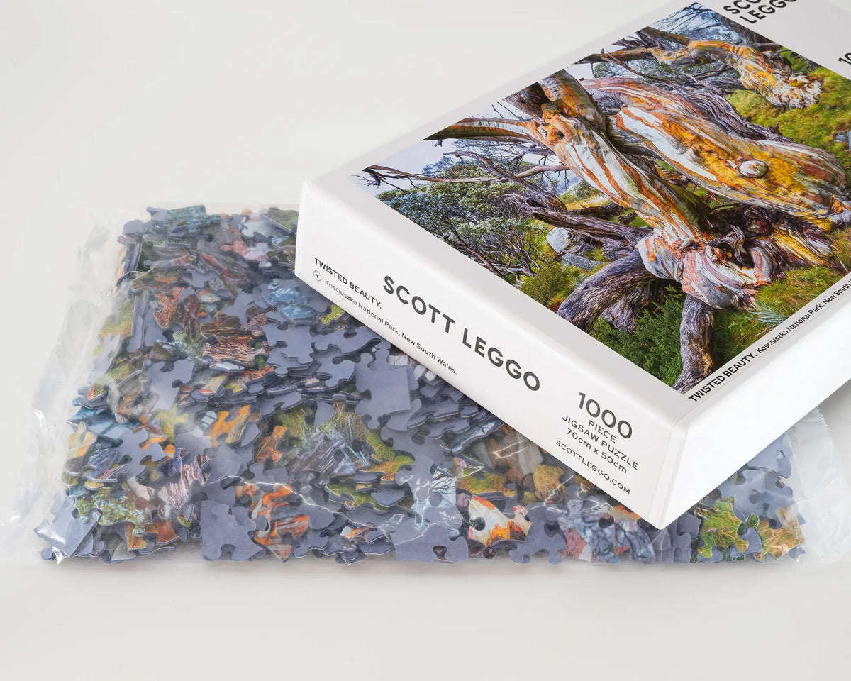 Twisted Beauty 1000 piece snow gum jigsaw puzzle box with bag of pieces.