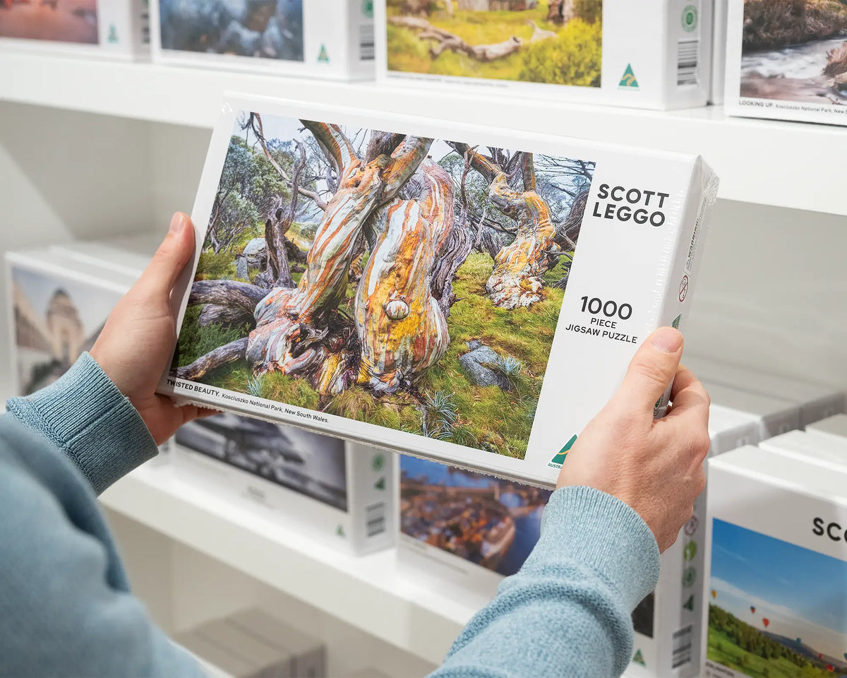 Twisted Beauty. 1000 piece snow gum jigsaw puzzle held in hands in gallery.
