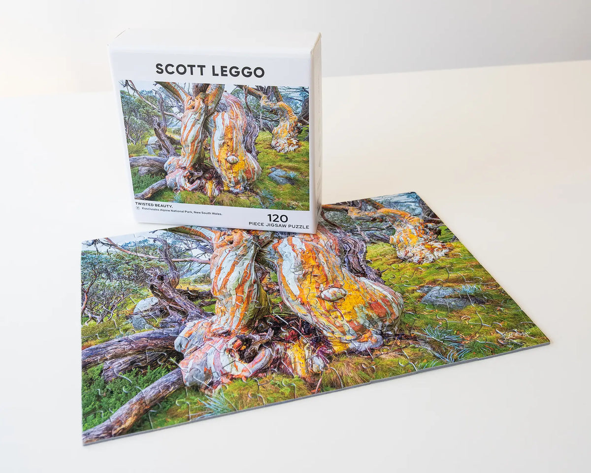 Twisted Beauty. 120 piece jigsaw puzzle fully assembled with box.