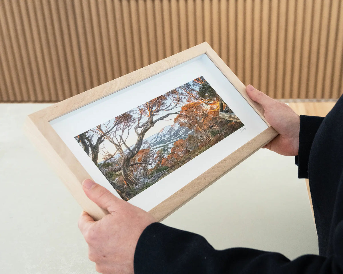 Twynams View. Alpine gums small framed print with timber frame being hand held.