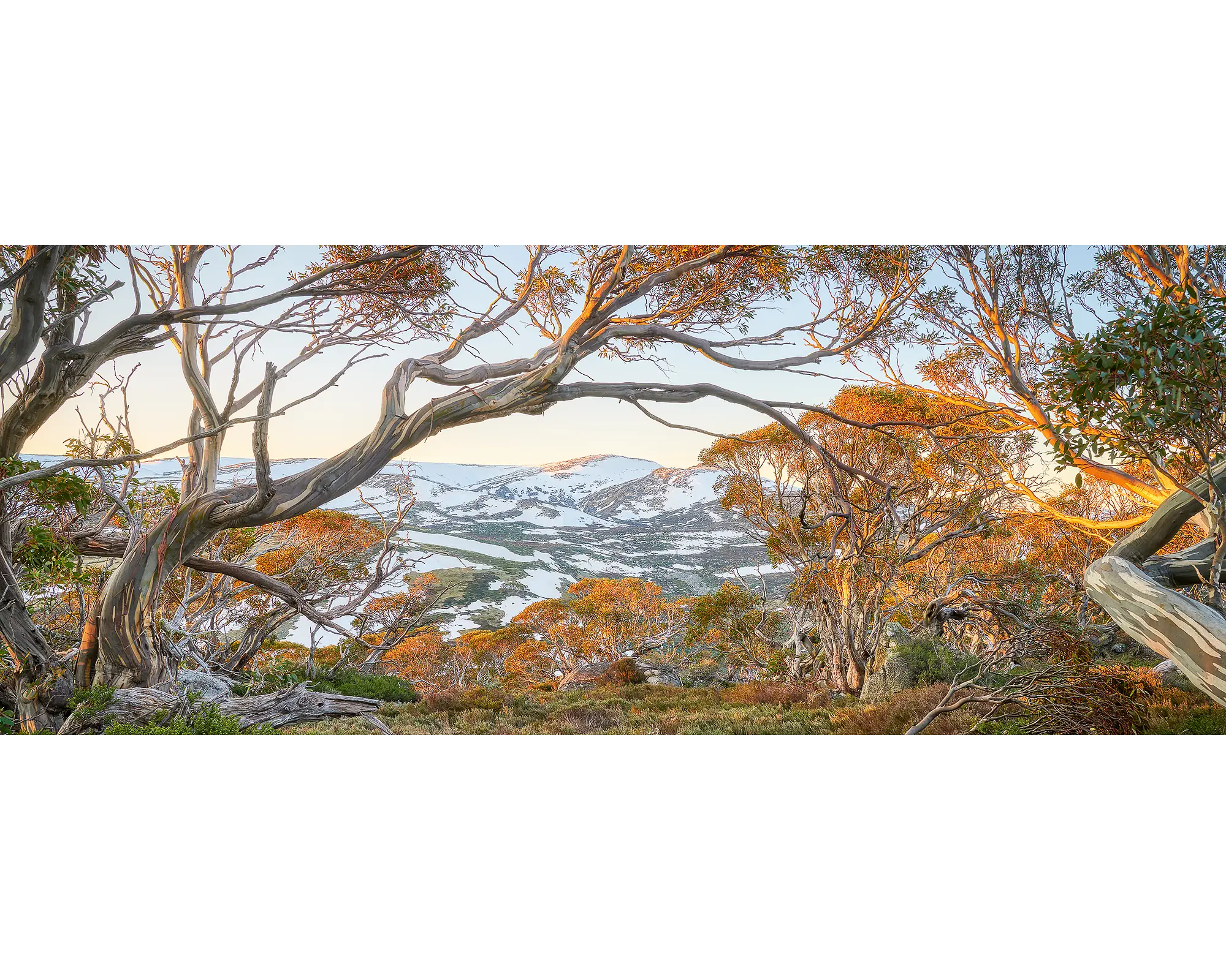 Twynams View - Snow on Mount Twynam, Kosciuszko National Park, New South Wales, Australia.