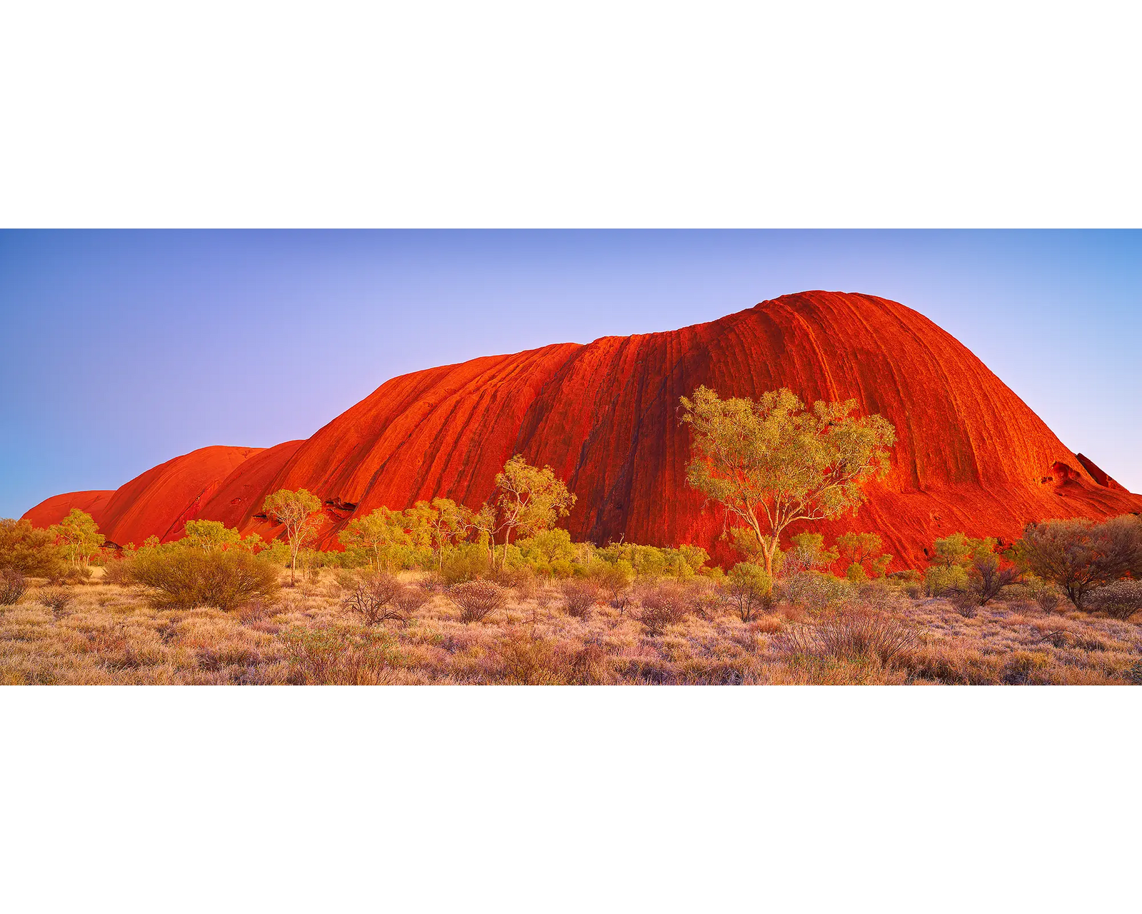 Uluru Awakening. Sunrise at Uluru, Northern Territory, Australia.