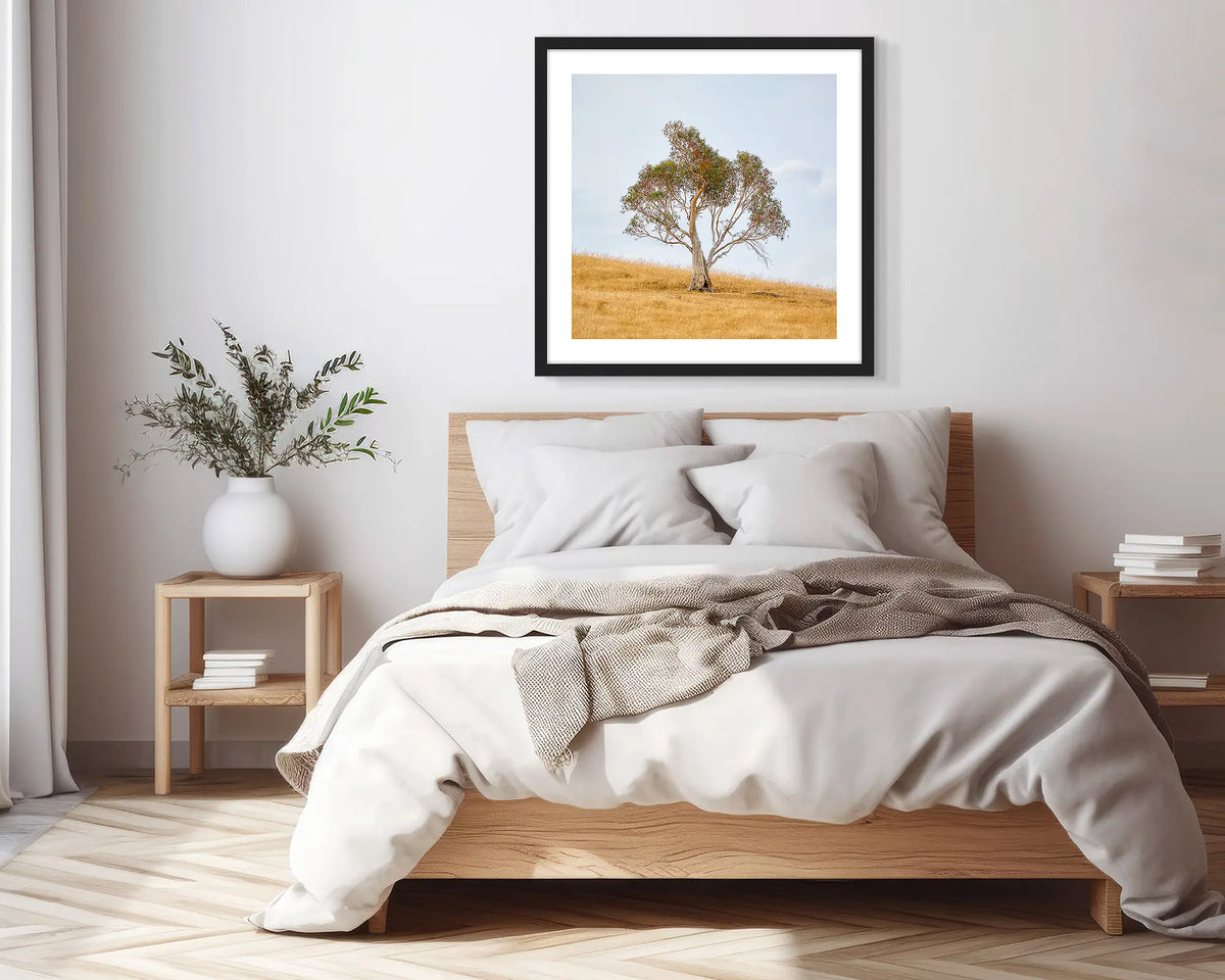 Unaccompanied. Black framed, snow gum wall art print, in a scandi-themed bedroom.