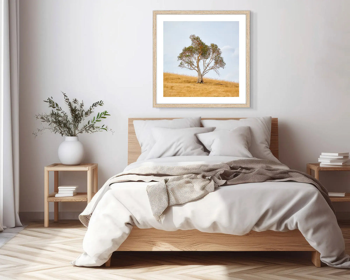 Unaccompanied. Timber framed, snow gum wall art print, in a scandi-themed bedroom.