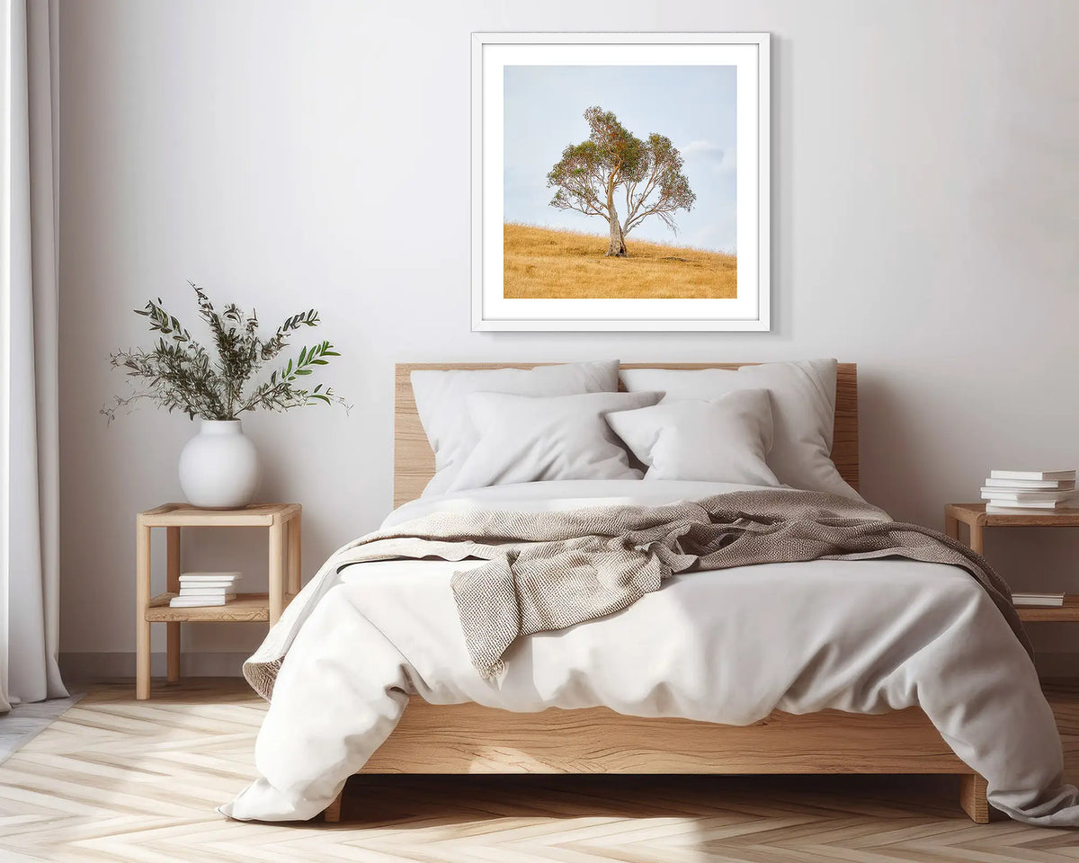 Unaccompanied. White framed, snow gum wall art print, in a scandi-themed bedroom.