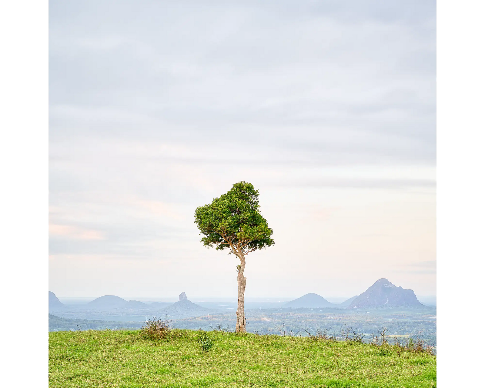 Unitary. One Tree Hill, Maleny, Queensland.