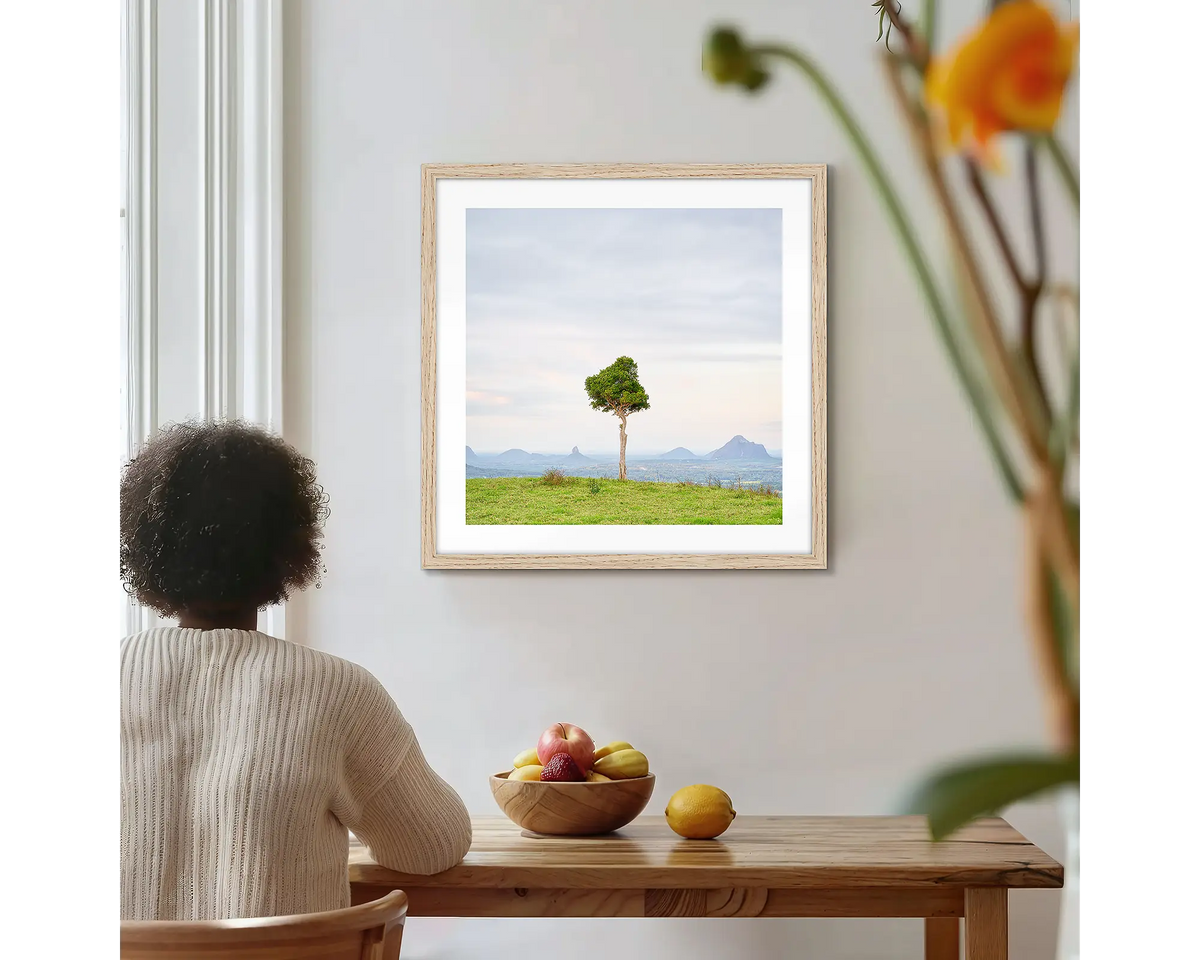 Unitary. Single tree Glass House Mountains, photographic wall art print with a timber frame, hung on a kitchen wall with a woman admiring. 