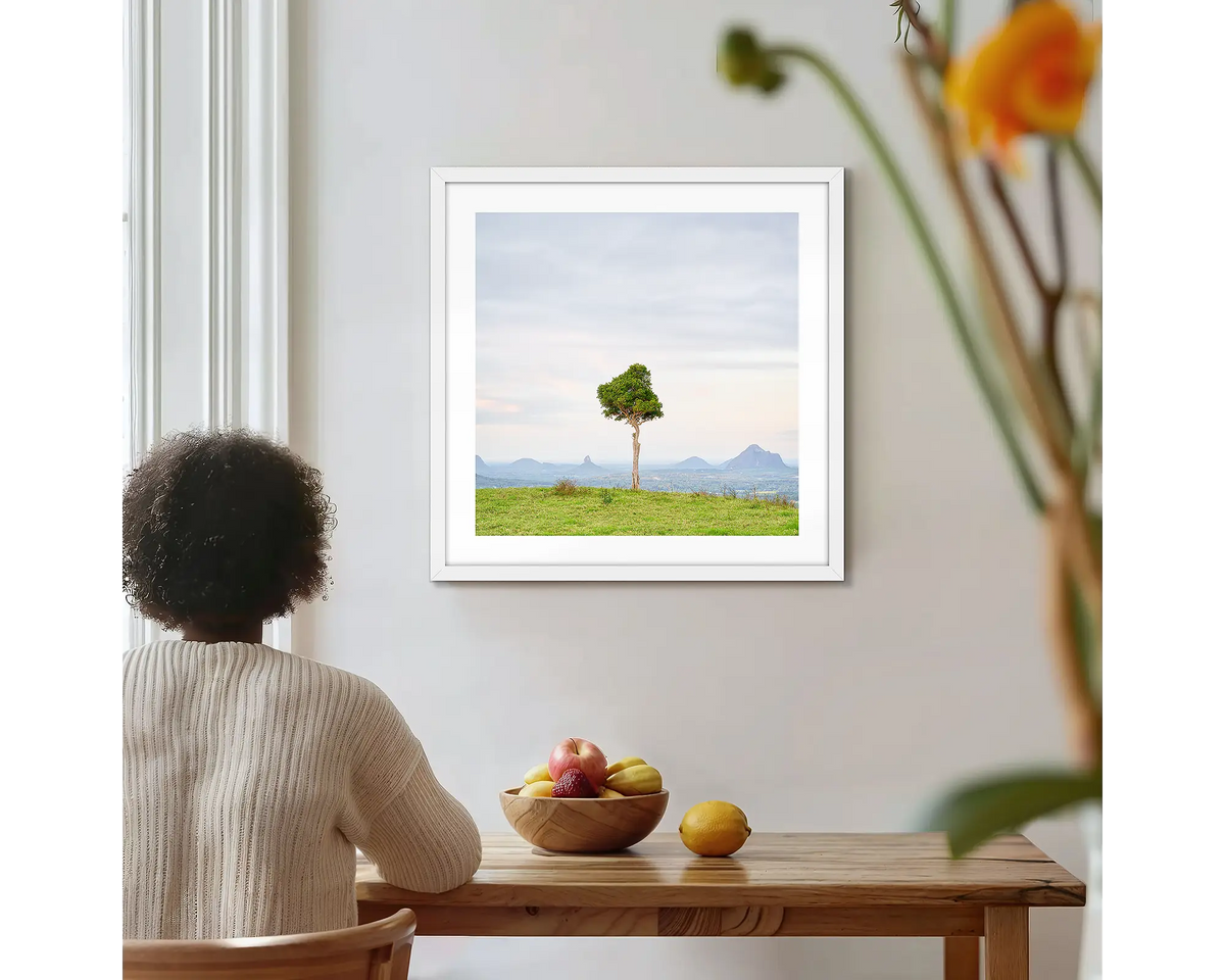 Unitary. Single tree Glass House Mountains, photographic wall art print with a white frame, hung on a kitchen wall with a woman admiring. 