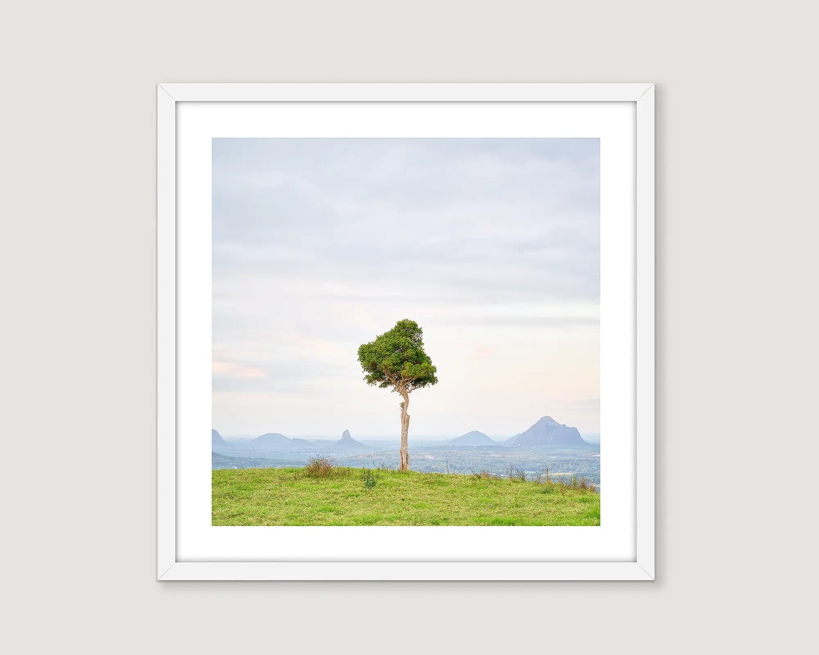 Framed artwork of a lone tree on a grassy hill with mountains in the background.
