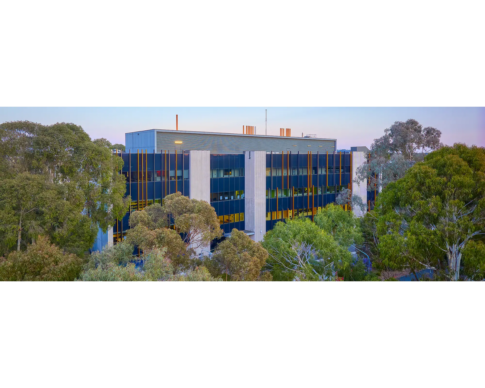 University Of Canberra. Building 27 surrounded by gum trees.