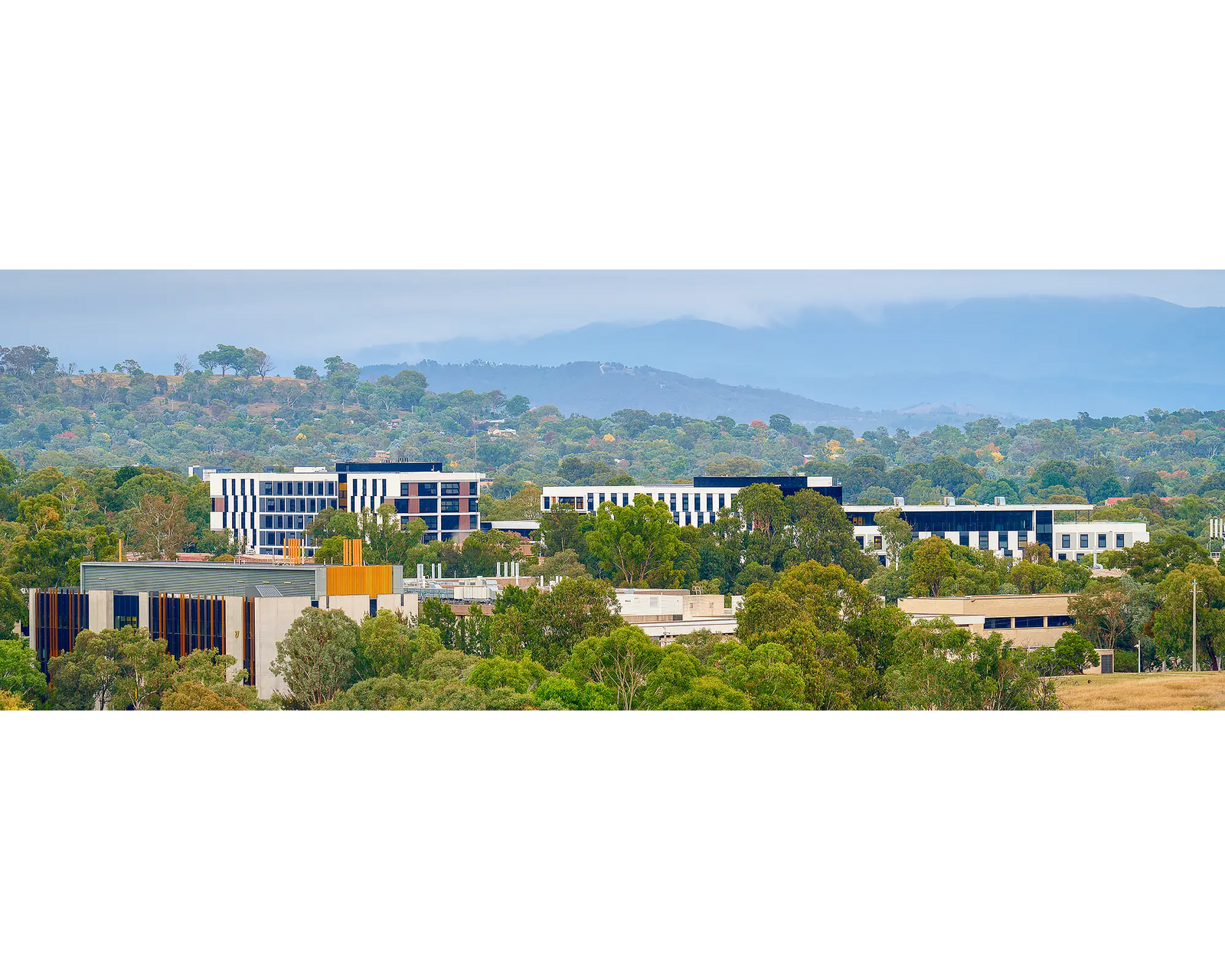 University Of Canberra buildings amongst gum trees.