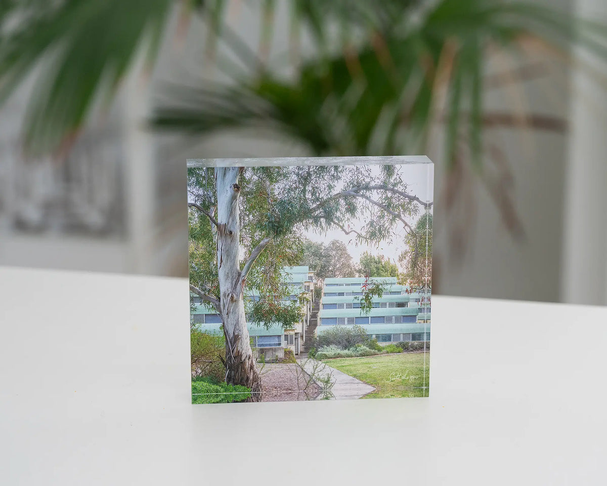 University Of Canberra 6. Acrylic block on desk with greenery.