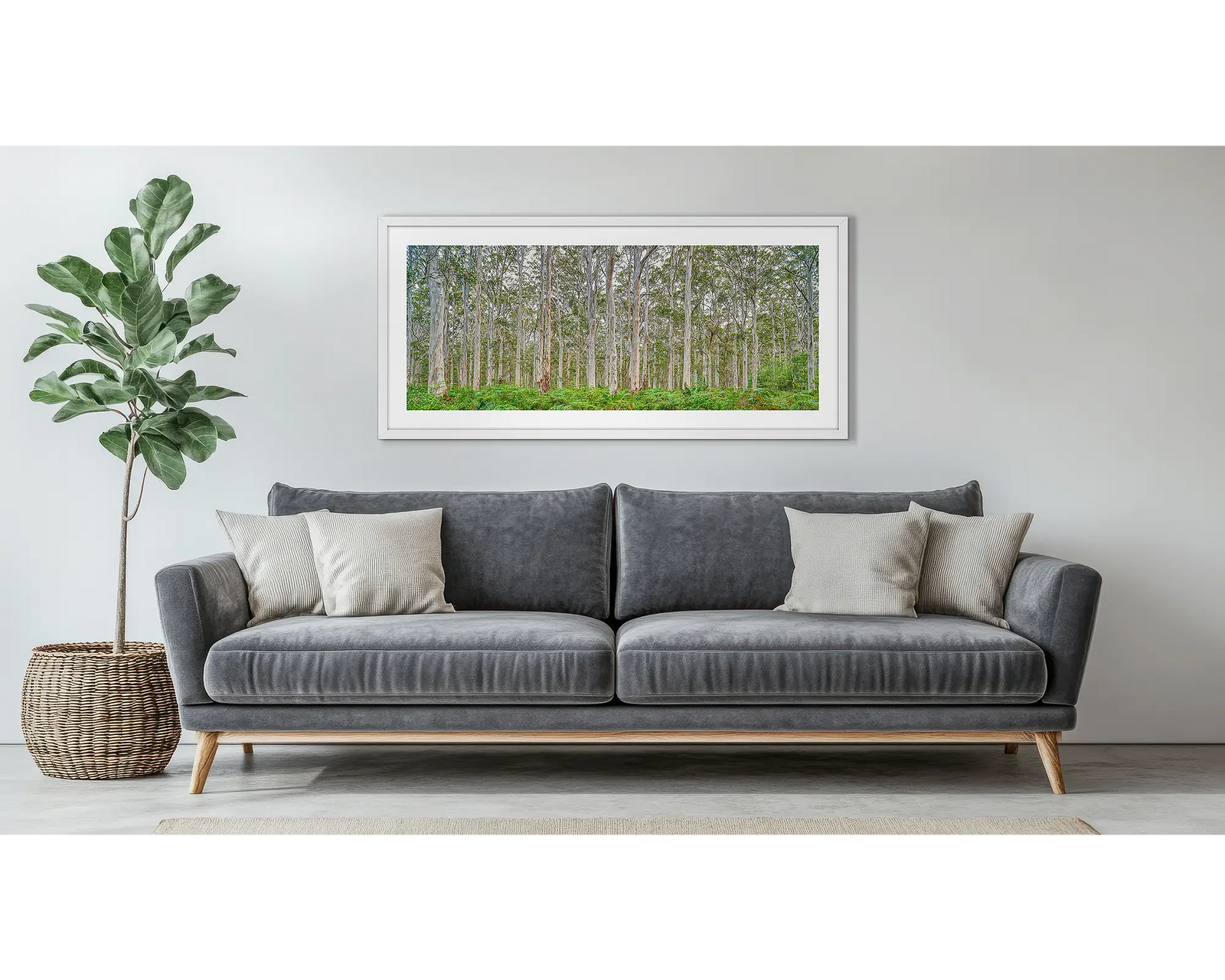 Upright Karri forest in Boranup, Leeuwin Naturaliste National Park, Western Australia.