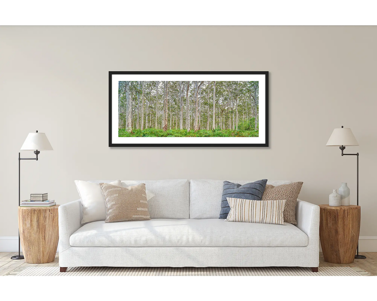 Upright. Wall art print of a Karri Forest in Western Australia, framed in a black frame and hung above a couch. 
