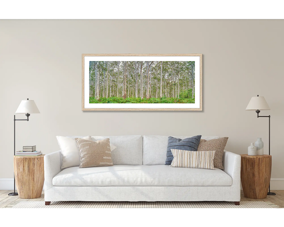 Upright. Wall art print of a Karri Forest in Western Australia, framed in a timber frame and hung above a couch. 