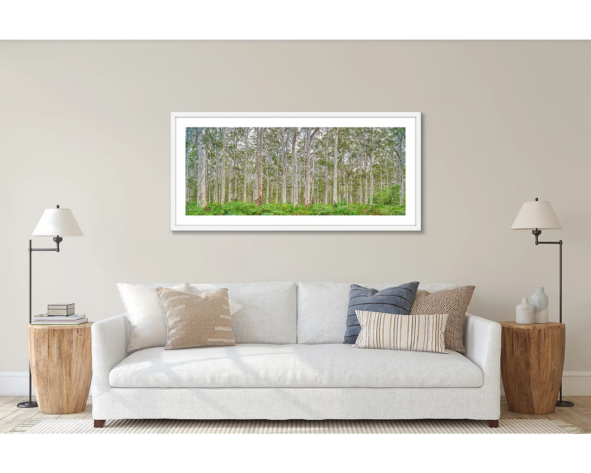 Upright. Wall art print of a Karri Forest in Western Australia, framed in a white frame and hung above a couch. 