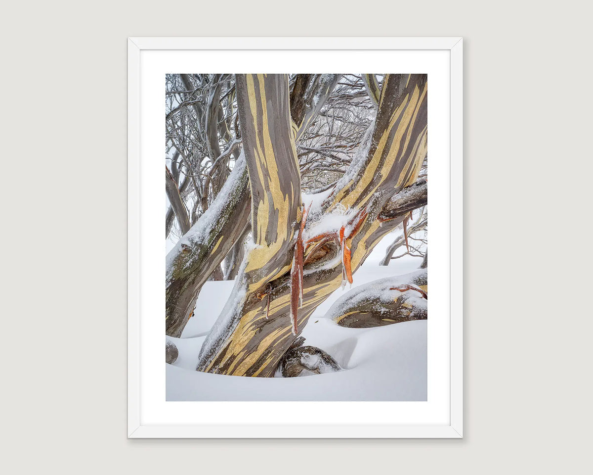 Framed artwork of a snow gum landscape with trees and icicles.