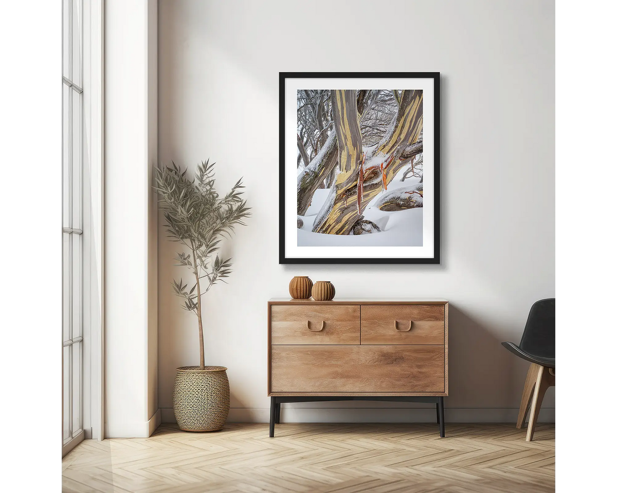 Variance. Wall art print of a snow gum in snow, framed with a black frame and hung in an apartment living room.