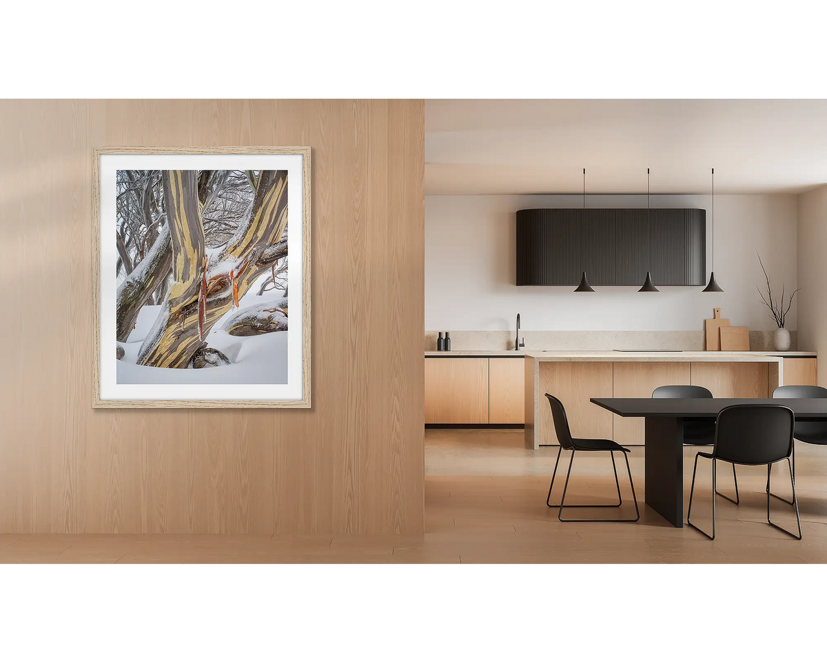 Variance. Wall art print of a snow gum in snow, framed with a timber frame and hung at a kitchen entrance. 