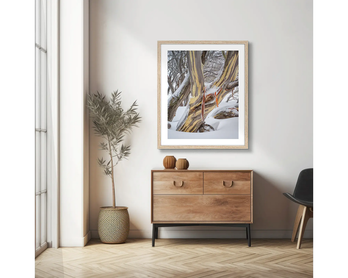 Variance. Wall art print of a snow gum in snow, framed with a timber frame and hung in an apartment living room.